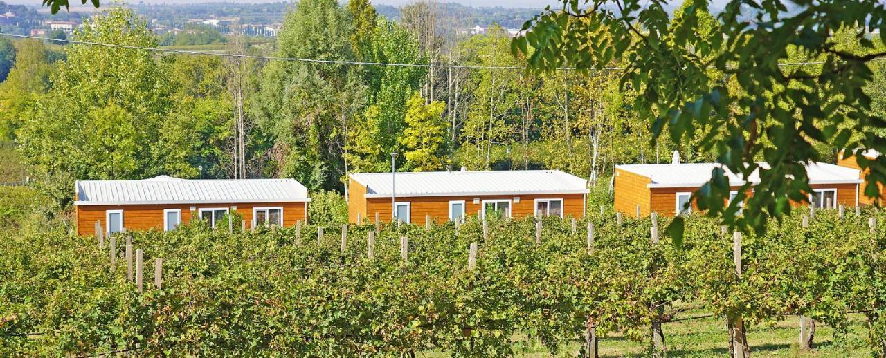 Agriturismo B&B Corte Tonolli Valeggio sul Mincio Exteriör bild
